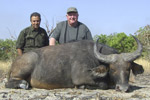 buffalo in Faro East