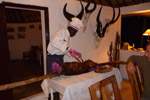 Faro East Camp