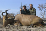 hartebeest