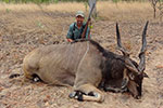 Lord Derby Eland in Faro East