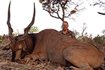 Lord Derby Eland in Faro East