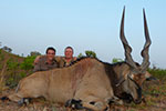 Lord Derby Eland in Faro East