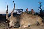 Lord Derby Eland in Faro East