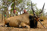 Lord Derby Eland in Faro East