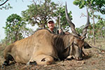 Lord Derby Eland in Faro East