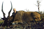 Lord Derby Eland in Faro East