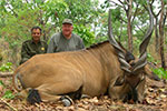 Lord Derby Eland in Faro East