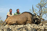 Lord Derby Eland in Faro East