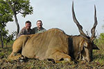 Lord Derby Eland in Faro East