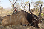 Lord Derby Eland in Faro East