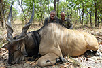 Lord Derby Eland in Faro East