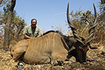 Lord Derby Eland in Faro East