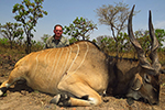 Lord Derby Eland in Faro East