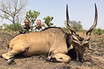 Lord Derby Eland in Faro East