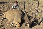 Lord Derby Eland in Faro East