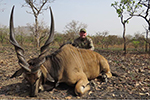 Lord Derby Eland in Faro East