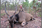 Lord Derby Eland in Faro East