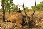 Lord Derby Eland in Faro East