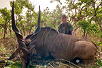 Lord Derby Eland in Faro East