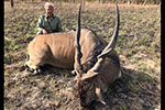 Lord Derby Eland in Faro East