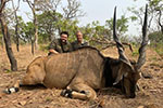 Lord Derby Eland in Faro East